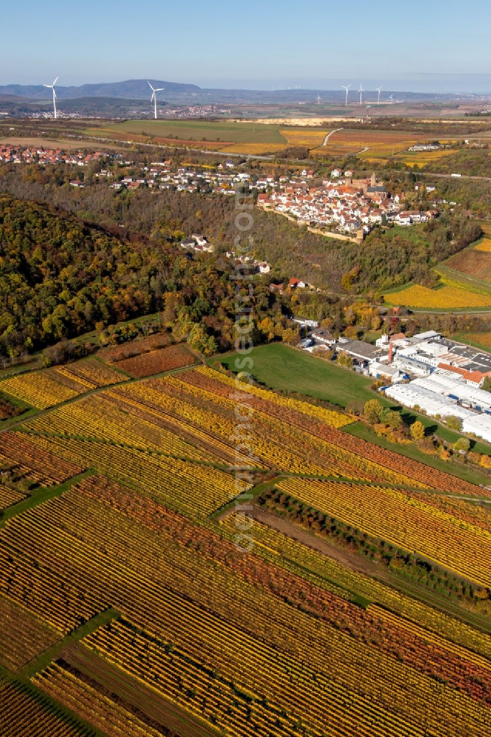 Aerial image Neuleiningen - Autumnal discolored vineyards in the wine-growing area around the premises of Gechem GmbH & Co. KG in Neuleiningen in the state Rhineland-Palatinate, Germany