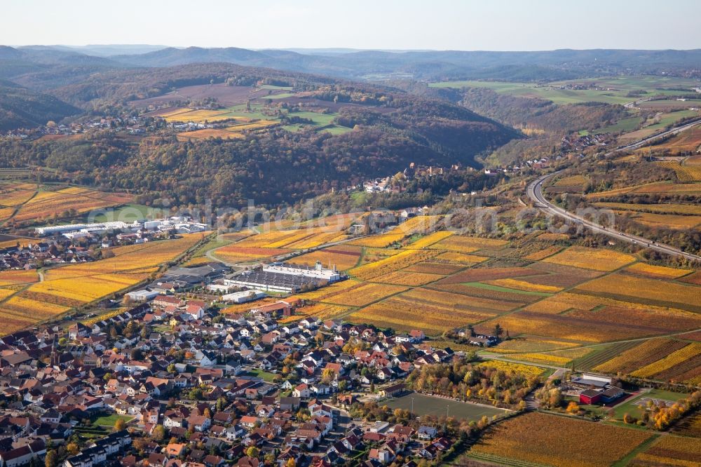 Sausenheim from above - Autumnal discolored vegetation view town center on the edge of vineyards and wineries in the wine-growing area in Sausenheim in the state Rhineland-Palatinate, Germany