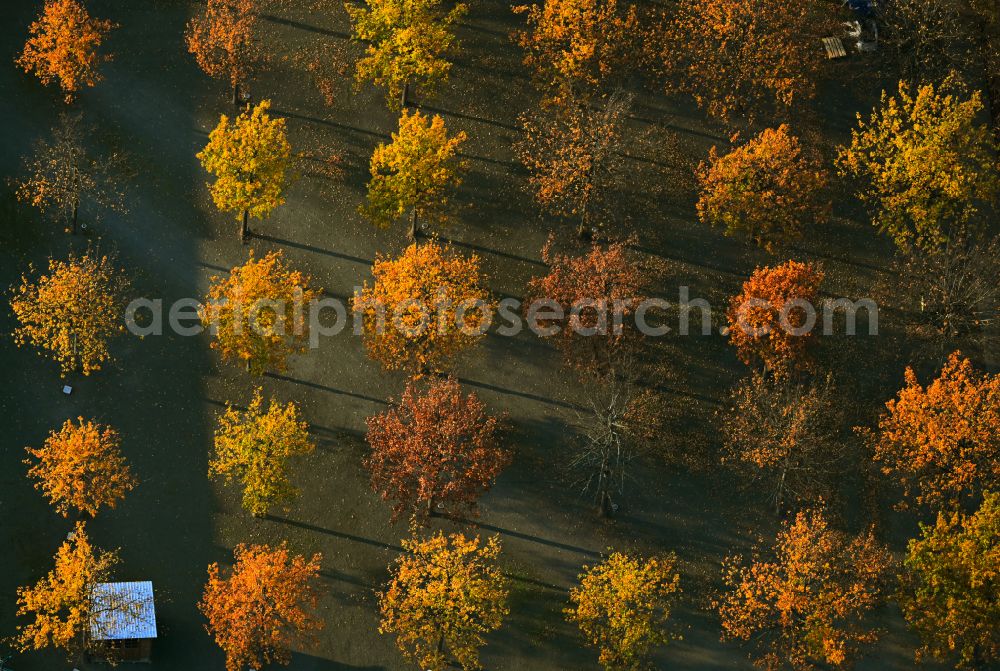 Berlin from above - Autumnal discolored vegetation view of the park with rows of trees at the animal shelter on the street Hausvaterweg in the district of Falkenberg in Berlin, Germany