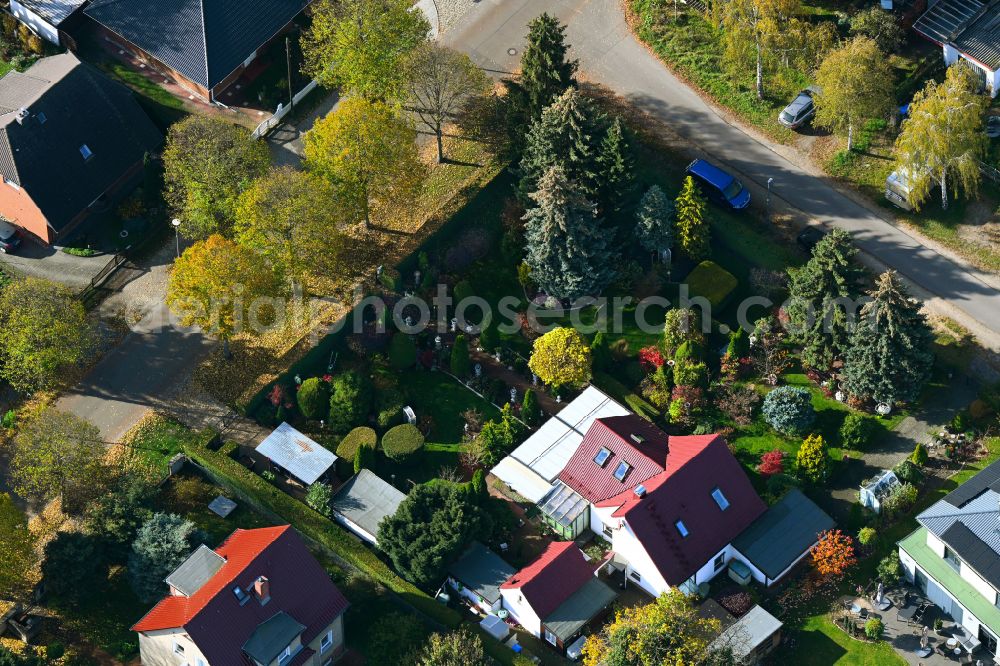 Aerial photograph Berlin - Autumnal discolored vegetation view park of in a single-family housing estate on street Birkenstrasse - Bergedorfer Strasse in Berlin, Germany