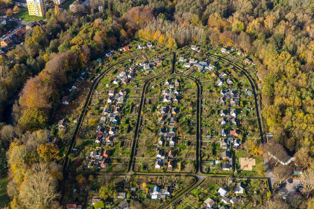 Bochum from above - Autumnal discolored vegetation view parcel of a small garden in Bochum at Ruhrgebiet in the state North Rhine-Westphalia