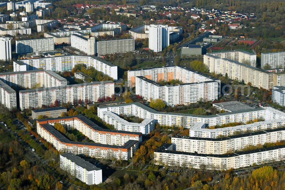 Aerial photograph Berlin - Autumnal discolored vegetation view skyscrapers in the residential area of industrially manufactured settlement along the Pablo-Picasso-Strasse in the district Neu-Hohenschoenhausen in Berlin, Germany