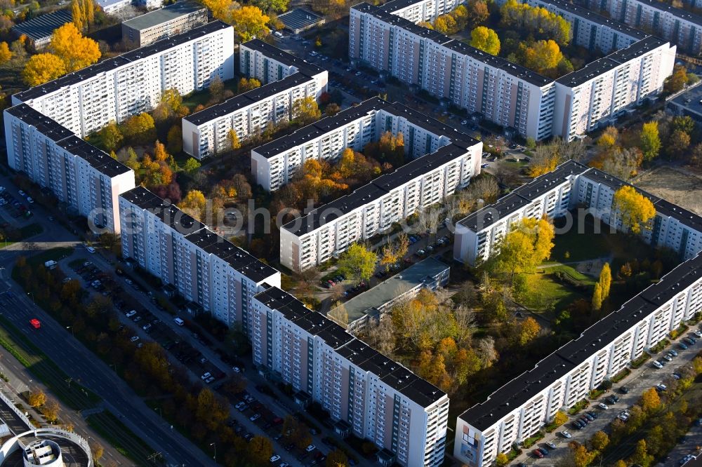 Aerial image Berlin - Autumnal discolored vegetation view skyscrapers in the residential area of industrially manufactured settlement on Falkenberger Chaussee in the district Neu-Hohenschoenhausen in Berlin, Germany