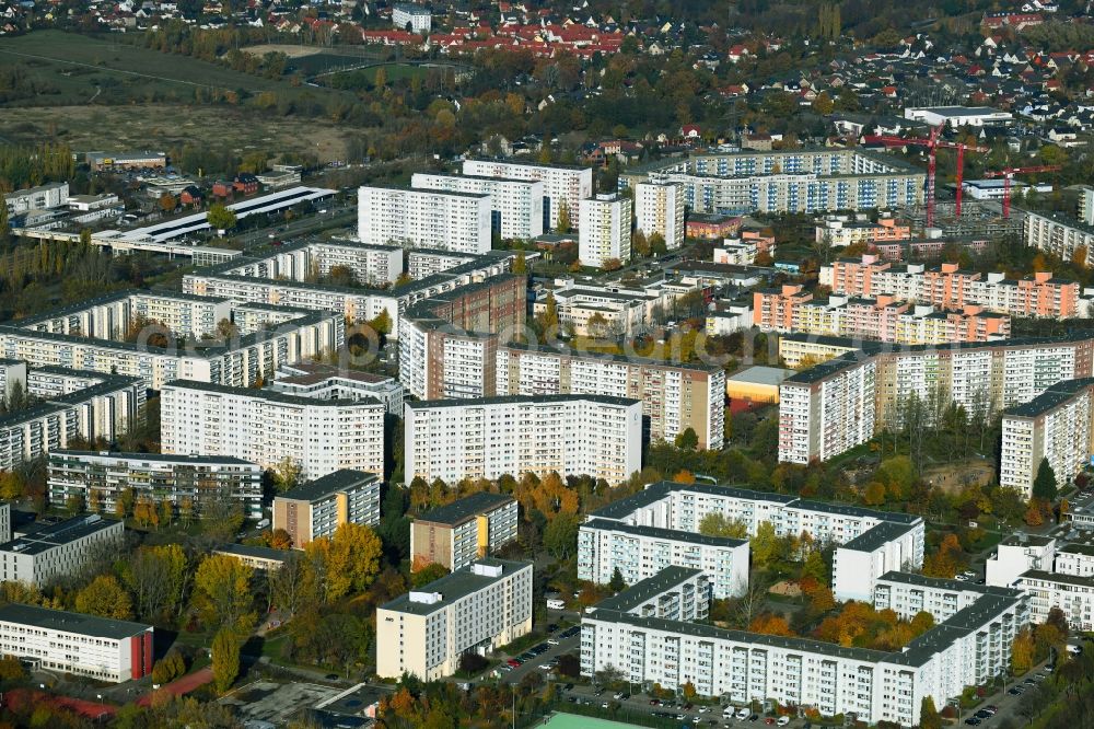 Aerial image Berlin - Autumnal discolored vegetation view skyscrapers in the residential area of industrially manufactured settlement Flaemingstrasse - Maerkische Allee in the district Marzahn in Berlin, Germany