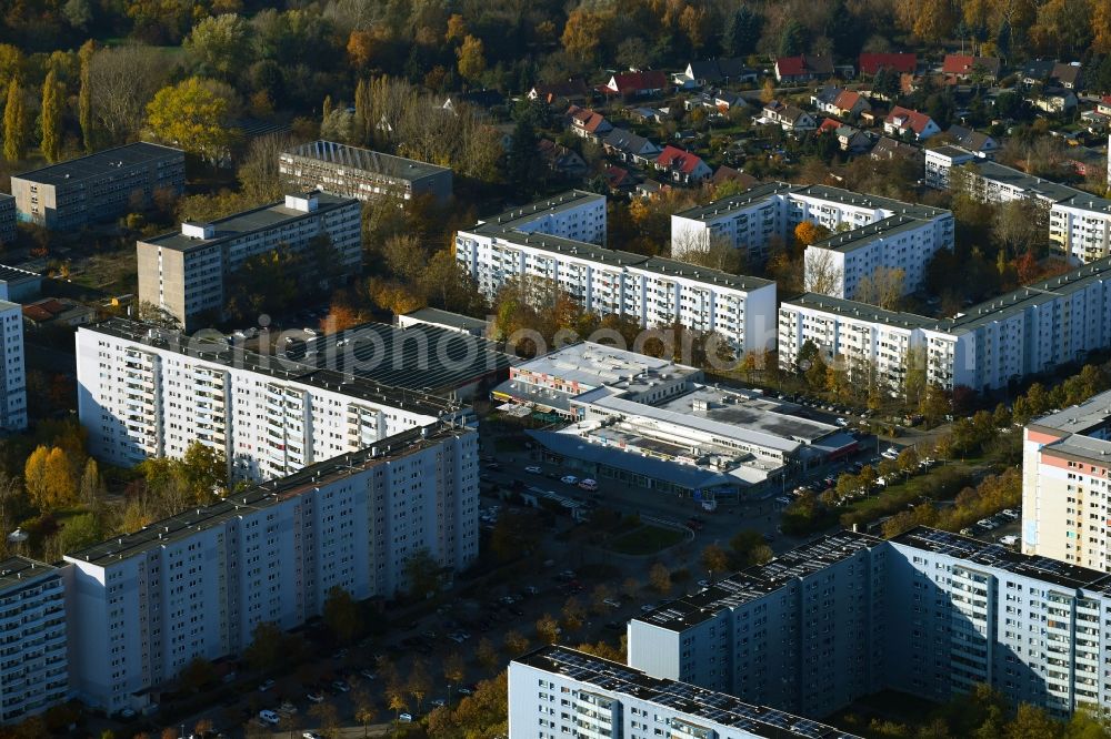 Berlin from the bird's eye view: Autumnal discolored vegetation view skyscrapers in the residential area of industrially manufactured settlement Zum Hechtgraben - Kuehlungsborner Strasse - Zingster Strasse in the district Neu-Hohenschoenhausen in Berlin, Germany