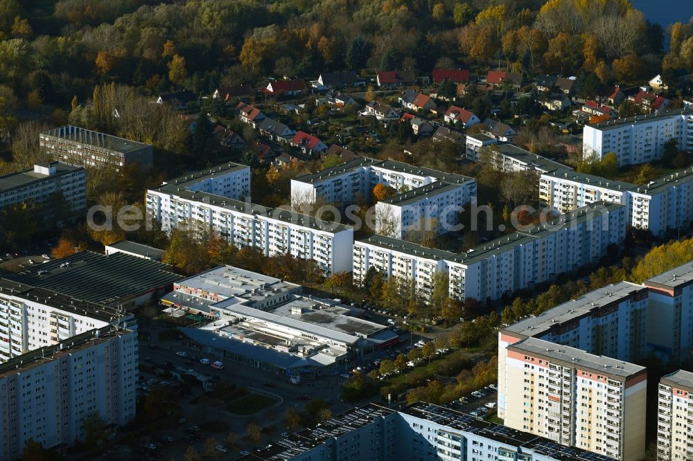 Berlin from above - Autumnal discolored vegetation view skyscrapers in the residential area of industrially manufactured settlement Zum Hechtgraben - Kuehlungsborner Strasse - Zingster Strasse in the district Neu-Hohenschoenhausen in Berlin, Germany