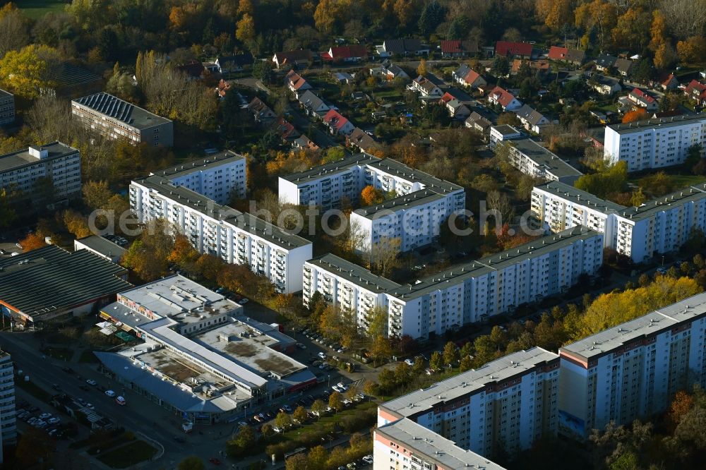 Aerial image Berlin - Autumnal discolored vegetation view skyscrapers in the residential area of industrially manufactured settlement Zum Hechtgraben - Kuehlungsborner Strasse - Zingster Strasse in the district Neu-Hohenschoenhausen in Berlin, Germany