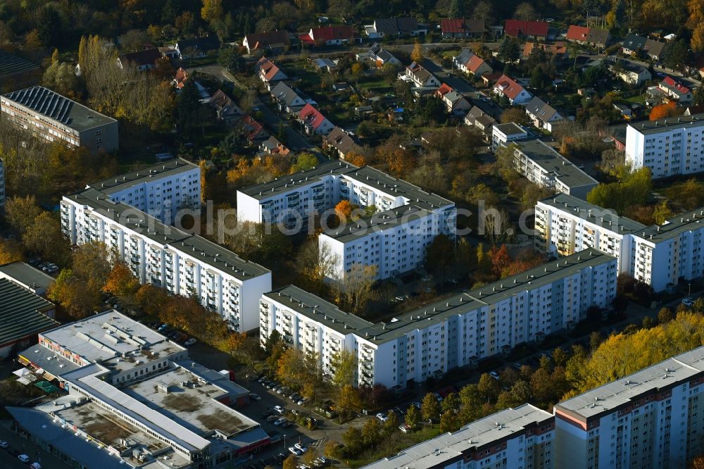 Aerial photograph Berlin - Autumnal discolored vegetation view skyscrapers in the residential area of industrially manufactured settlement Zum Hechtgraben - Kuehlungsborner Strasse - Zingster Strasse in the district Neu-Hohenschoenhausen in Berlin, Germany