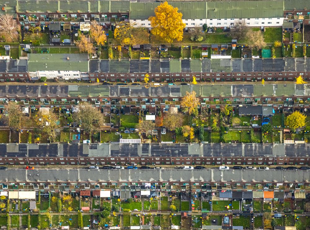 Aerial photograph Duisburg - Autumnal discolored vegetation view detached house - residential area in the form of a row house settlement on street Bodelschwinghstrasse in the district Wanheimerort in Duisburg at Ruhrgebiet in the state North Rhine-Westphalia, Germany