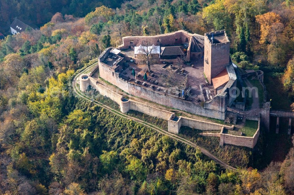 Aerial photograph Klingenmünster - Autumnal discolored vegetation view ruins and vestiges of the former fortress Burg Landeck in Klingenmuenster in the state Rhineland-Palatinate, Germany