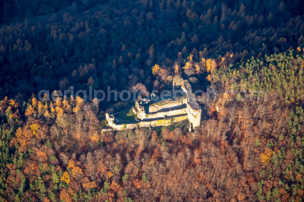 Aerial image Flemlingen - Autumnal discolored vegetation view ruins and vestiges of the former castle and fortress castle Neuscharfeneck in autumn - indian summer in Flemlingen in the state Rhineland-Palatinate