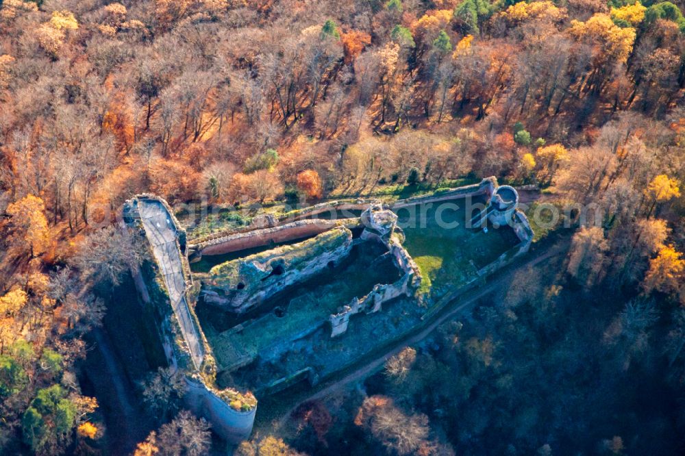 Aerial photograph Flemlingen - Autumnal discolored vegetation view ruins and vestiges of the former castle and fortress castle Neuscharfeneck in autumn - indian summer in Flemlingen in the state Rhineland-Palatinate