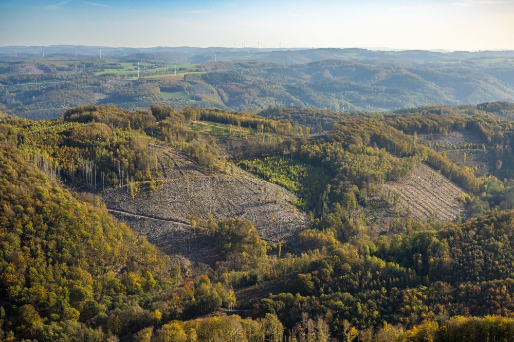 Aerial photograph Dahl - Autumn discolored vegetation view Tree dieback and forest dieback in a forest area in Dahl in the state North Rhine-Westphalia, Germany