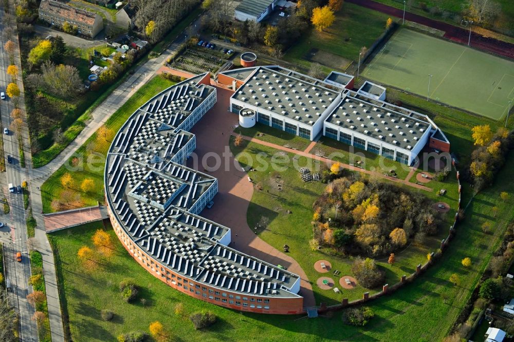 Aerial photograph Berlin - Autumnal discolored vegetation view school building of the Barnim-Gymnasium on Ahrensfelder Chaussee in the district Falkenberg in Berlin, Germany