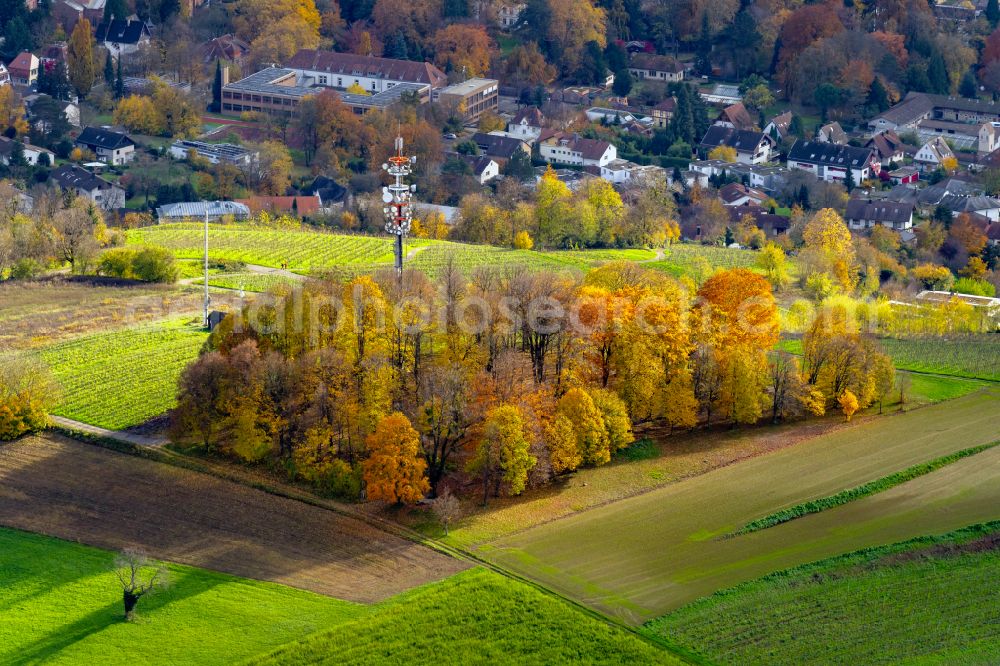 Aerial photograph Lahr/Schwarzwald - Autumnal discolored vegetation view fields of wine cultivation landscape in Lahr/Schwarzwald in the state Baden-Wuerttemberg, Germany