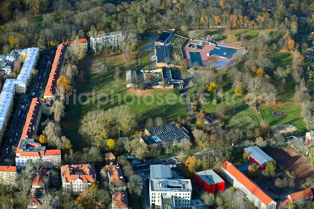 Aerial image Berlin - Autumnal discolored vegetation view Swimming pool and grounds with sunbathing areas of the Am Schlosspark outdoor pool in the Pankow district of Berlin, Germany