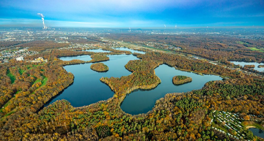 Aerial image Duisburg - Autumnal discolored vegetation view Waterfront landscape on the lake Sechs-Seen-Platte in the district Wedau in Duisburg at Ruhrgebiet in the state North Rhine-Westphalia, Germany