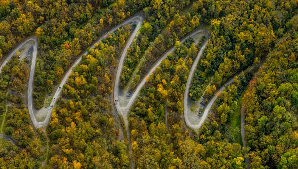 Aerial image Bottrop - Autumnal discolored vegetation view serpentine curve of a route to the heap on the Beckstrasse in Bottrop at Ruhrgebiet in the state of North Rhine-Westphalia, Germany