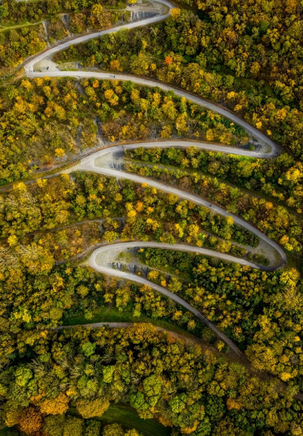 Bottrop from above - Autumnal discolored vegetation view serpentine curve of a route to the heap on the Beckstrasse in Bottrop at Ruhrgebiet in the state of North Rhine-Westphalia, Germany