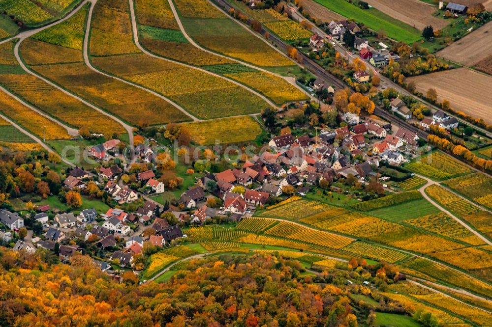 Ebringen from the bird's eye view: Autumnal discolored vegetation view the district Leutersberg in Ebringen in the state Baden-Wuerttemberg, Germany