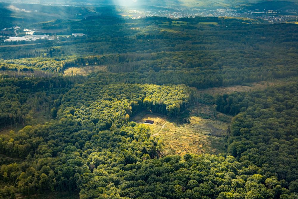 Menden (Sauerland) from above - Autumnal discolored vegetation view Sunbeams on a forest area in Menden (Sauerland) in the Sauerland in the state of North Rhine-Westphalia, Germany