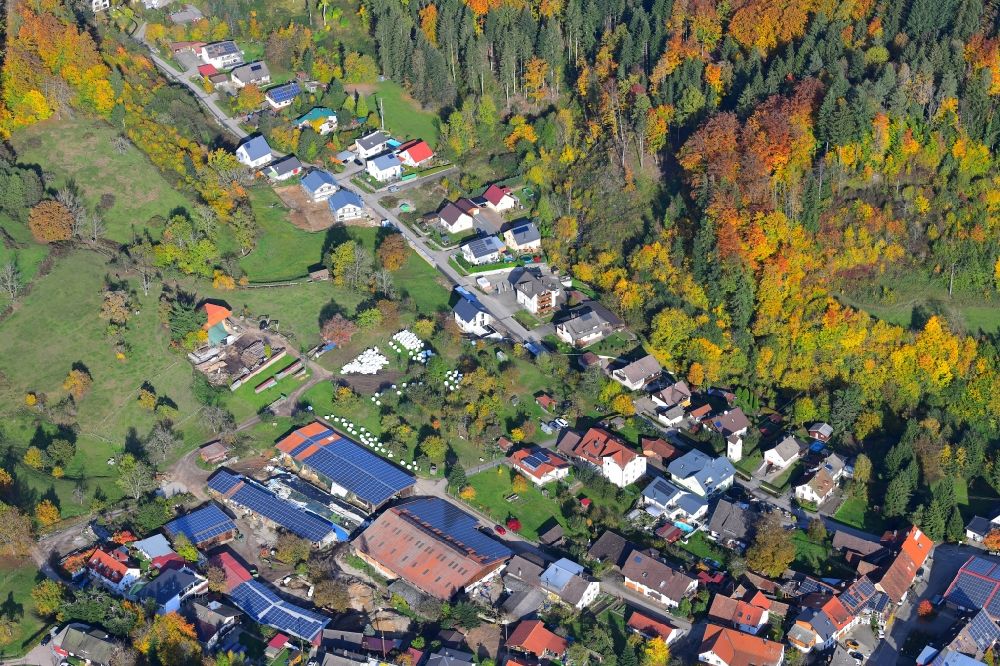 Aerial photograph Hasel - Autumnal discolored vegetation view street - road guidance Glashuetter Strasse in Hasel in the state Baden-Wuerttemberg, Germany