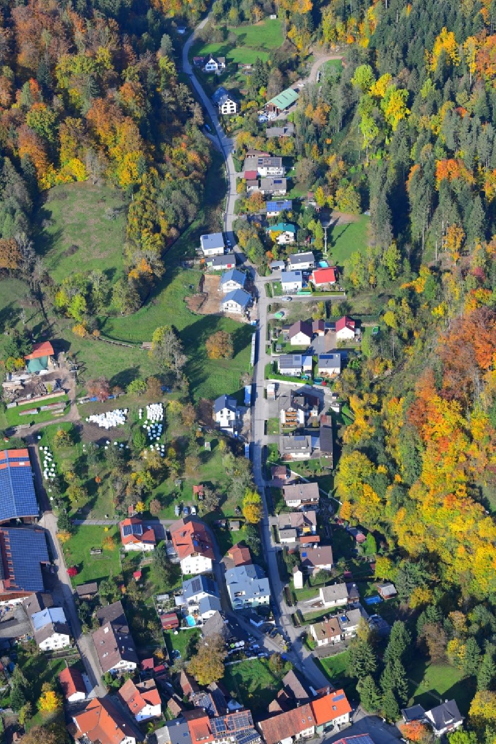Hasel from the bird's eye view: Autumnal discolored vegetation view street - road guidance Glashuetter Strasse in Hasel in the state Baden-Wuerttemberg, Germany