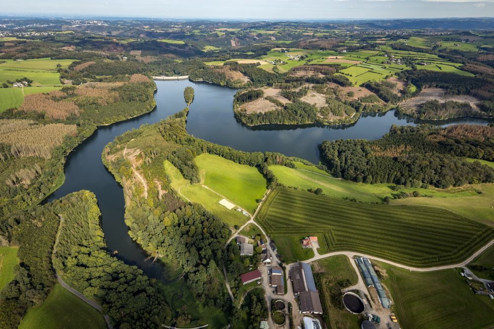 Aerial image Breckerfeld - Autumnal discolored vegetation view dam and shore areas at the lake Ennepetalsperre in Breckerfeld in the state North Rhine-Westphalia, Germany