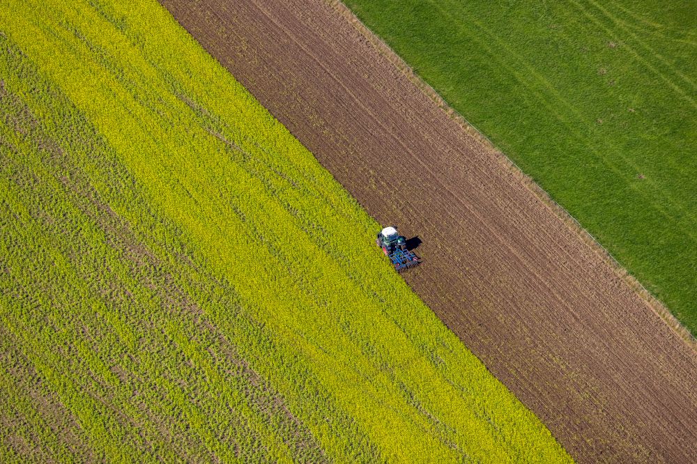 Aerial photograph Obringhausen - Autumnal discolored vegetation view transport vehicles in agricultural fields in Obringhausen in the state North Rhine-Westphalia, Germany