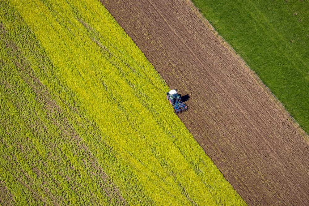 Obringhausen from the bird's eye view: Autumnal discolored vegetation view transport vehicles in agricultural fields in Obringhausen in the state North Rhine-Westphalia, Germany