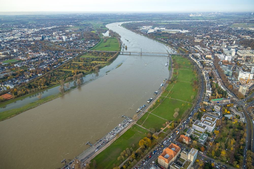 Düsseldorf from the bird's eye view: Autumnal discolored vegetation view riparian zones on the course of the river of Rhein on Oberkasseler Bruecke in Duesseldorf in the state North Rhine-Westphalia, Germany
