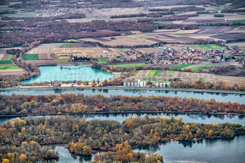 Aerial photograph Rhinau - Autumnal discolored vegetation view Riparian zones on the course of the river of Rhein near Diebolsheim in Rhinau in, France