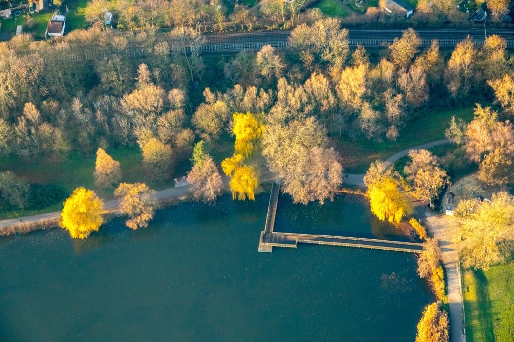 Aerial image Gladbeck - Autumnal discolored vegetation view shore areas of the North Park pond in Gladbeck in North Rhine-Westphalia