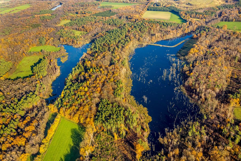 Aerial photograph Kirchhellen - Autumnal discolored vegetation view riparian areas on the lake area of Elsbachsee on street Koppelweg in Kirchhellen at Ruhrgebiet in the state North Rhine-Westphalia, Germany