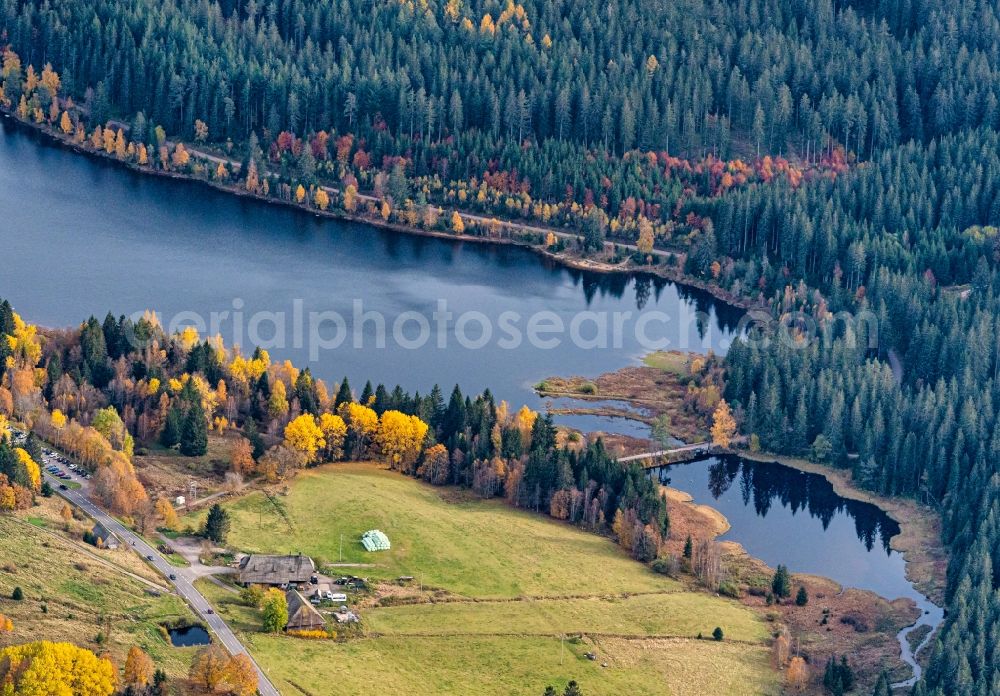 Aerial photograph Schluchsee - Autumnal discolored vegetation view riparian areas on the lake area of Schluchsee Oberlauf in Schluchsee in the state Baden-Wurttemberg, Germany