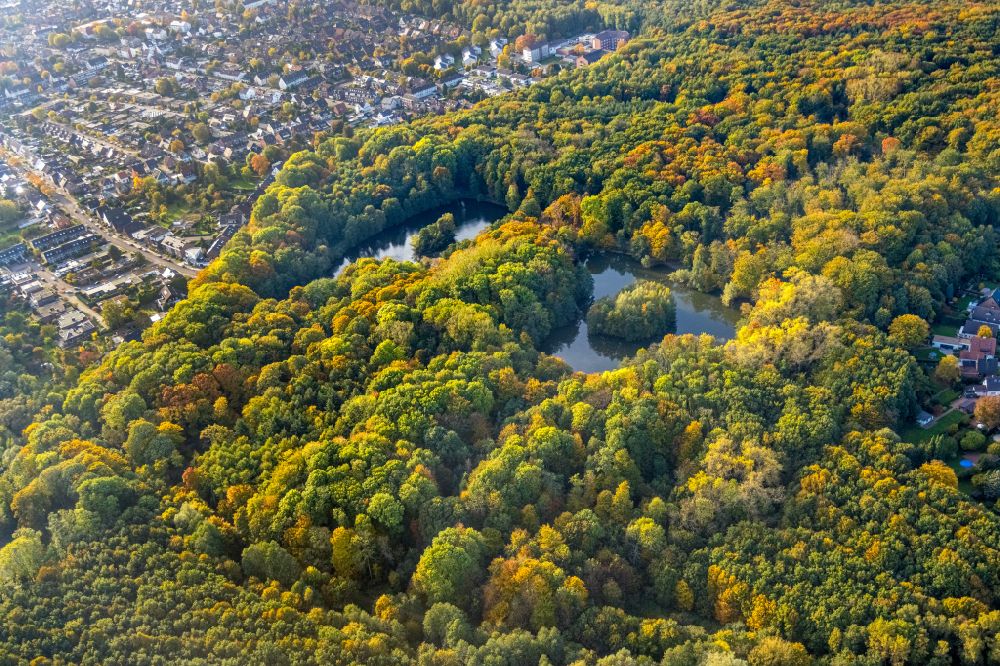 Aerial photograph Bottrop - Autumnal discolored vegetation view riparian areas on the lake area of Stadtteich in a forest area in Bottrop in the state North Rhine-Westphalia, Germany