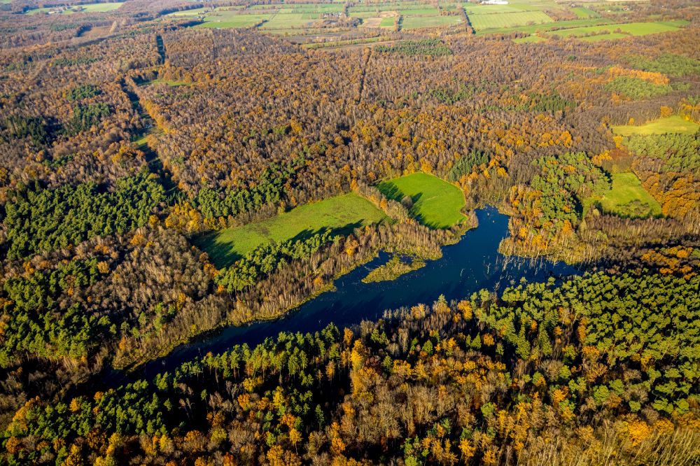 Kirchhellen from above - Autumnal discolored vegetation view riparian areas on the lake area of Weihnachtssee on street Koppelweg in Kirchhellen at Ruhrgebiet in the state North Rhine-Westphalia, Germany