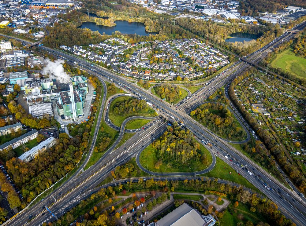 Aerial image Leverkusen - Autumnal discolored vegetation view traffic flow at the intersection- motorway A 1 and A3 in the district Wiesdorf in Leverkusen in the state North Rhine-Westphalia, Germany