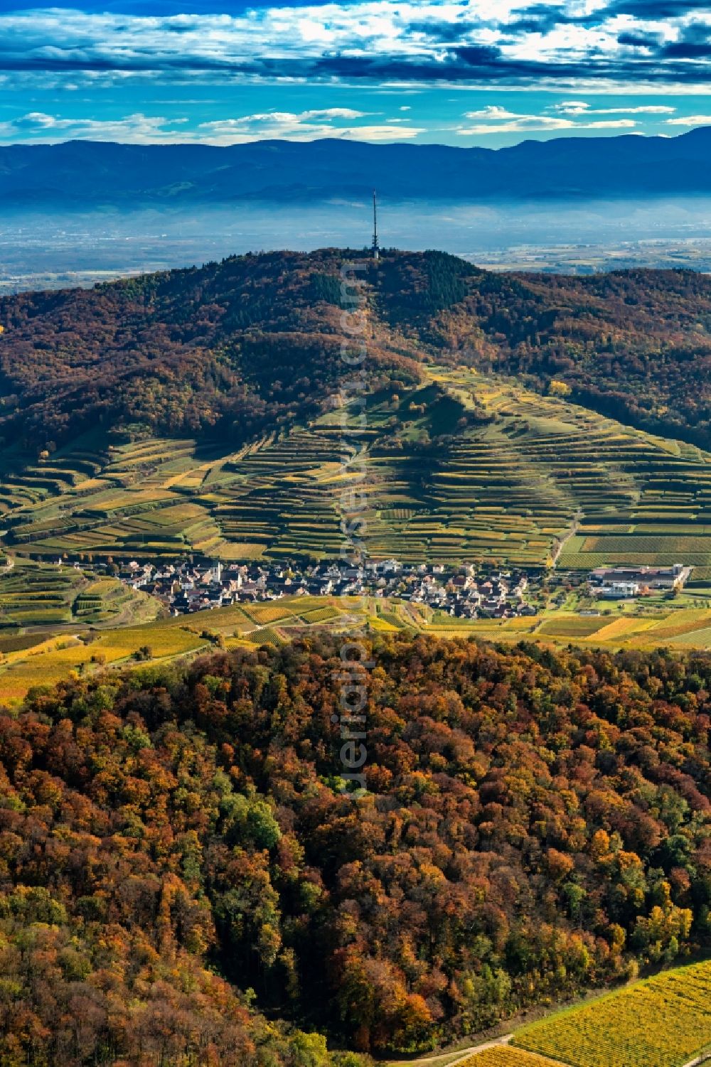 Aerial image Vogtsburg im Kaiserstuhl - Autumnal discolored vegetation view the district Oberbergen in Vogtsburg im Kaiserstuhl in the state Baden-Wuerttemberg, Germany