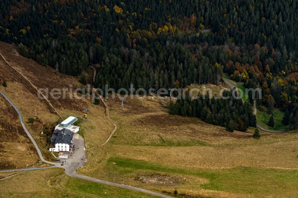 Schönenberg from the bird's eye view: Autumnal discolored vegetation view forest and mountain scenery with summit of Belchen in the Black Forest in Schoenenberg in the state Baden-Wurttemberg, Germany