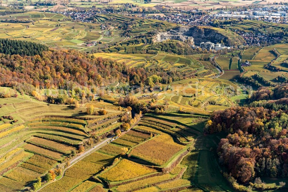 Aerial photograph Vogtsburg im Kaiserstuhl - Autumnal discolored vegetation view forest and mountain scenery Kaiserstuhl in Vogtsburg im Kaiserstuhl in the state Baden-Wuerttemberg, Germany