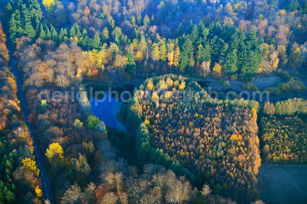 Aerial photograph Feldberger Seenlandschaft - Autumnal discolored vegetation view in the forest on the shores of Lake Dolgener See in Feldberger Seenlandschaft in the state Mecklenburg - Western Pomerania, Germany