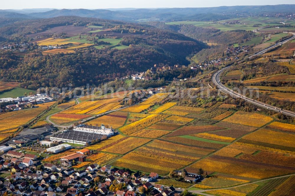 Neuleiningen from the bird's eye view: Autumnal discolored vineyards in the wine-growing area between Sausenheim and Neuleiningen in the state Rhineland-Palatinate, Germany