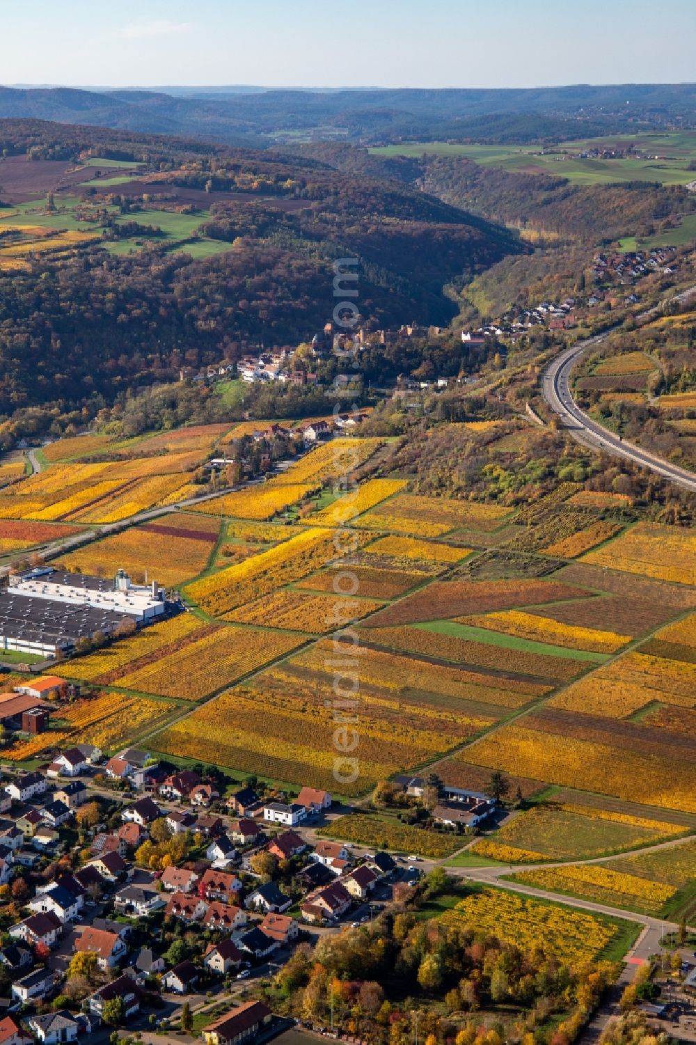 Aerial image Neuleiningen - Autumnal discolored vineyards in the wine-growing area between Sausenheim and Neuleiningen in the state Rhineland-Palatinate, Germany
