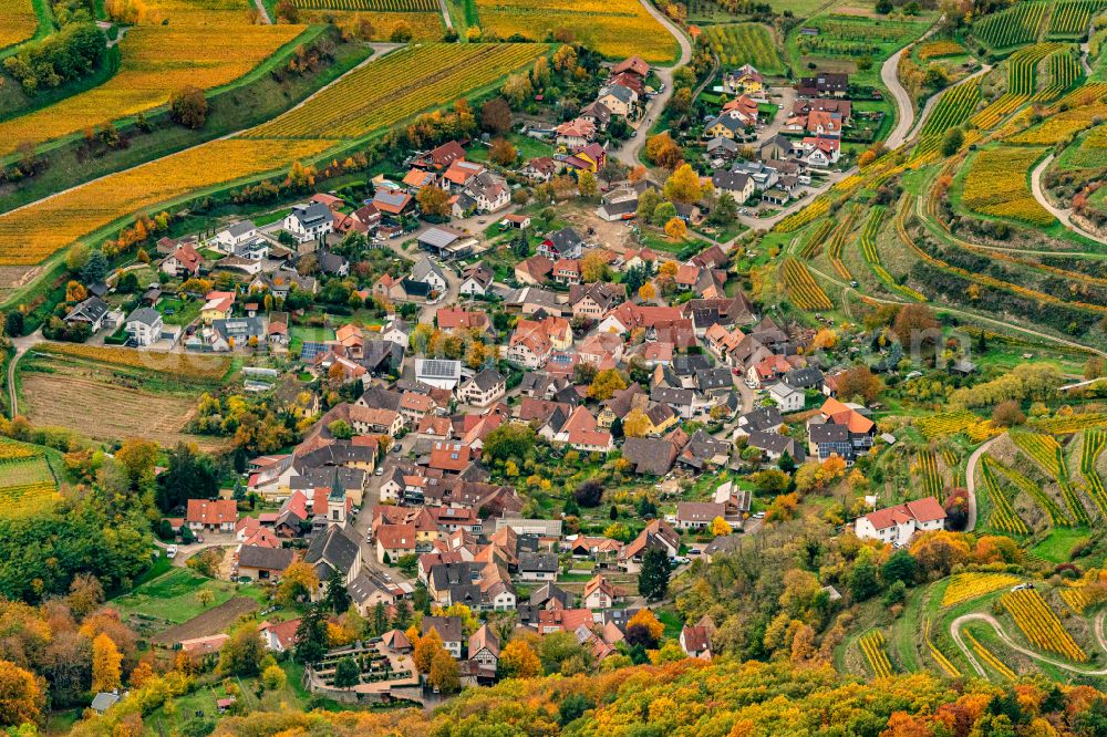 Aerial image Amoltern - Autumnal discolored vegetation view fields of wine cultivation landscape in Amolte in the state Baden-Wuerttemberg, Germany