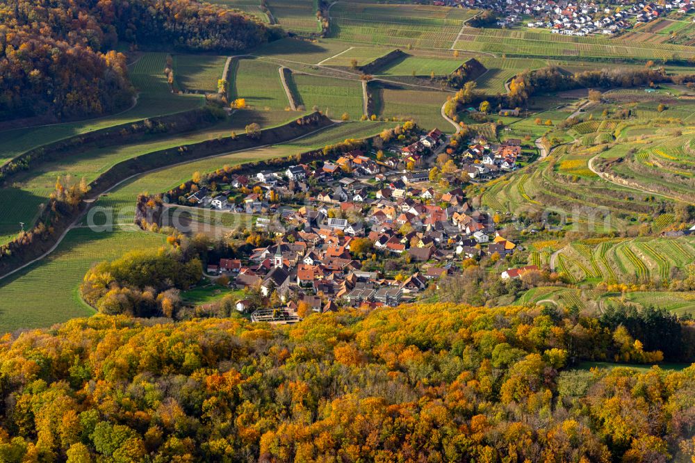 Aerial image Amoltern - Autumnal discolored vegetation view fields of wine cultivation landscape in Amolte in the state Baden-Wuerttemberg, Germany