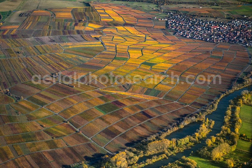 Aerial image Dettelbach - Autumnal discolored vegetation view fields of wine cultivation landscape in Dettelbach in the state Bavaria, Germany