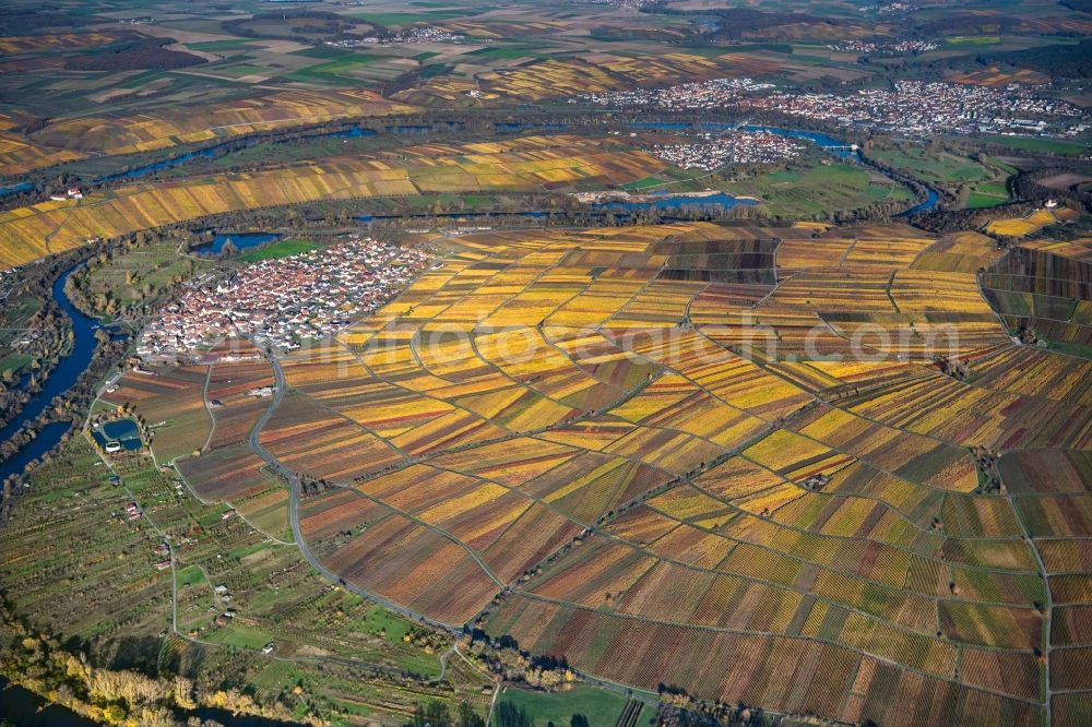 Aerial photograph Dettelbach - Autumnal discolored vegetation view fields of wine cultivation landscape in Dettelbach in the state Bavaria, Germany