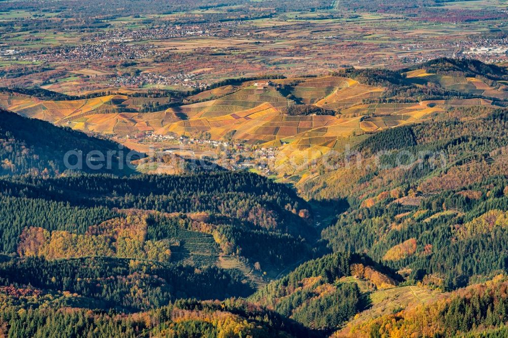 Aerial image Durbach - Autumnal discolored vegetation view fields of wine cultivation landscape in Durbach in the state Baden-Wurttemberg, Germany
