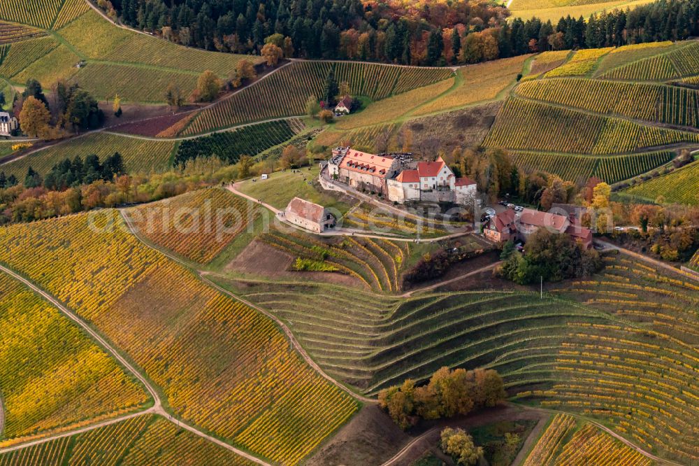 Aerial photograph Durbach - Autumnal discolored vegetation view fields of wine cultivation landscape in Durbach in the state Baden-Wuerttemberg, Germany